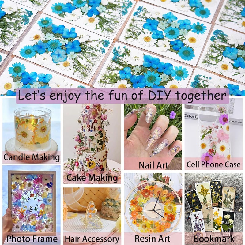 Xinxinran 40Pcs Dried Pressed Flowers for Crafts, Dry Flower Kit for Resin Molds,Epoxy Resin Accessories,Bookmark,Nails, Jewelry Molds,Candle Making Supplies,Soap,Cake(Blue-Purple) - Image 4